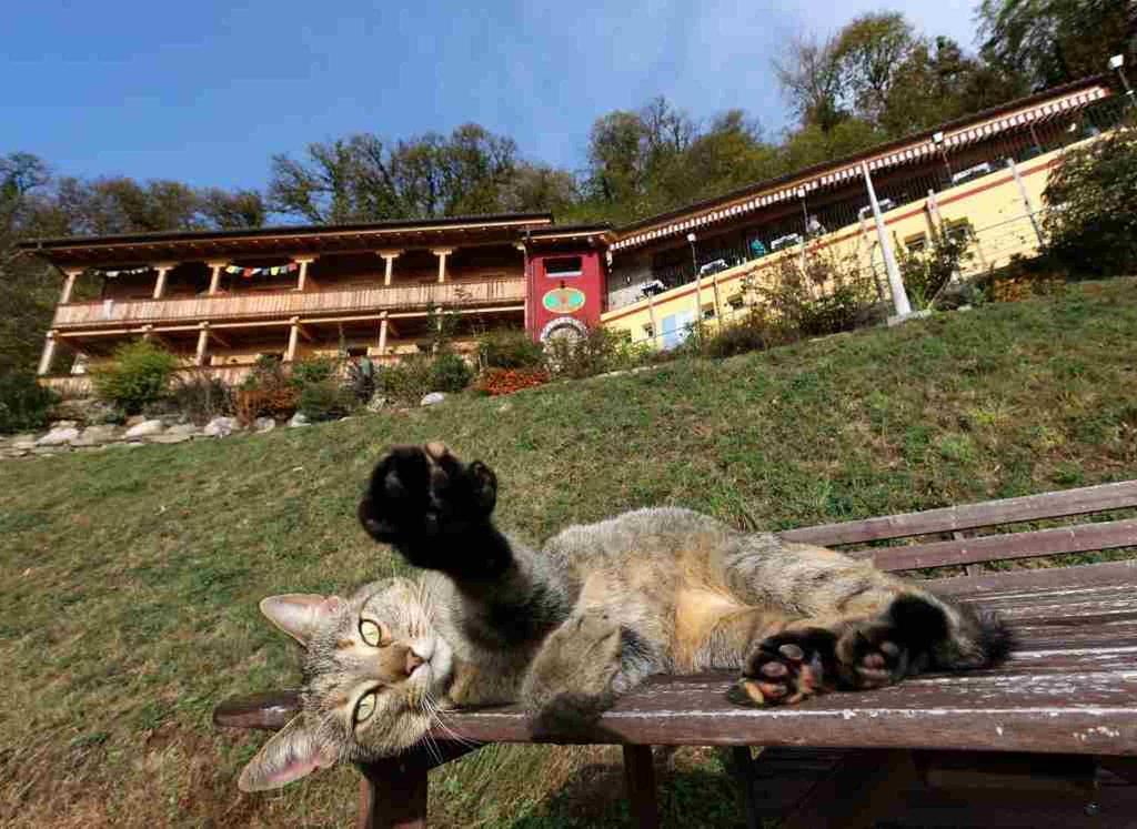 Eco Hotel Locanda Del Giglio Roveredo Capriasca Exterior photo